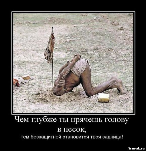 http://fisnyak.ru/post/post67/20.jpg