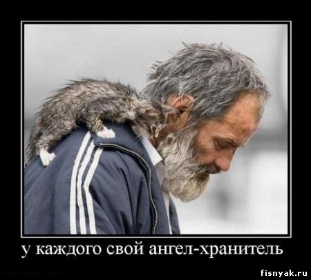 http://fisnyak.ru/post/post80/1260598547_23.jpg