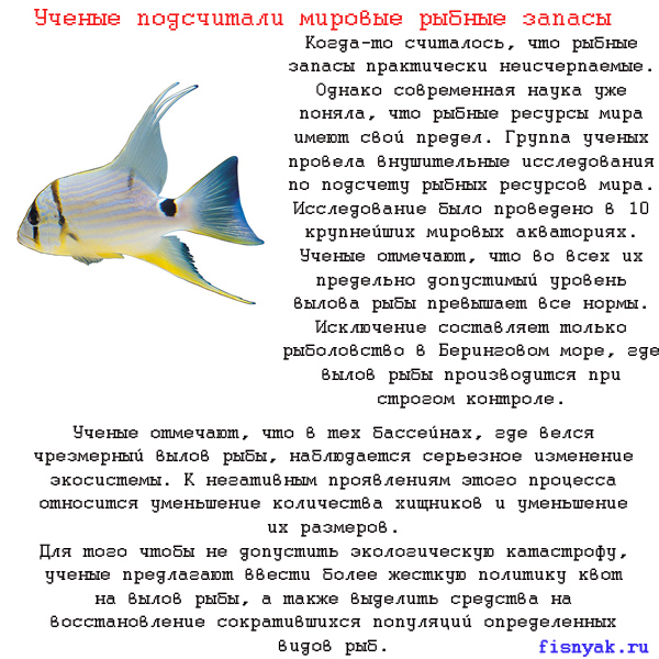 http://fisnyak.ru/post/post9/6.jpg