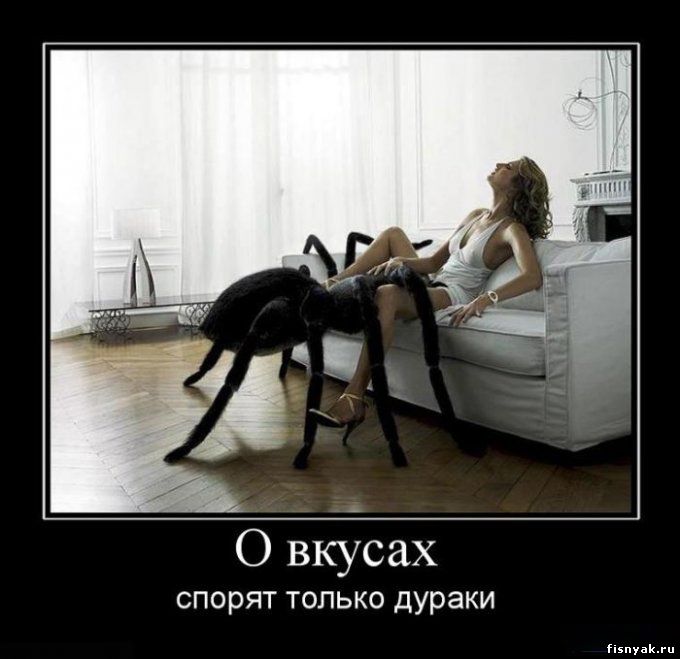 http://fisnyak.ru/post2/post1/1276429470_demotivatori_85.jpg
