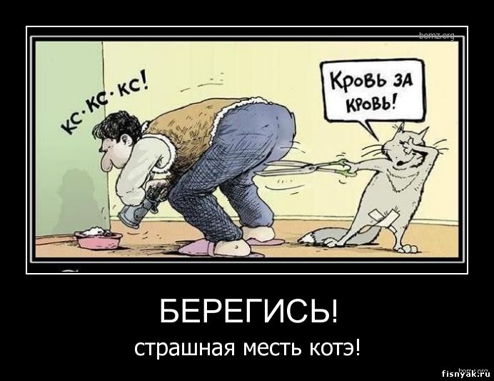 http://fisnyak.ru/post2/post8/682302-2010.06.14-11.07.33-463684_strashnaya-mest-.jpg