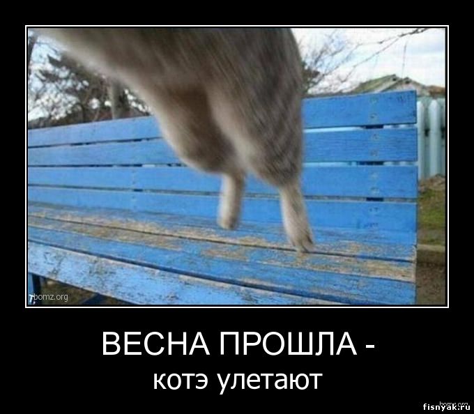 http://fisnyak.ru/post2/post8/780189-2010.06.14-11.09.15-622920_vesna-proshla.jpg