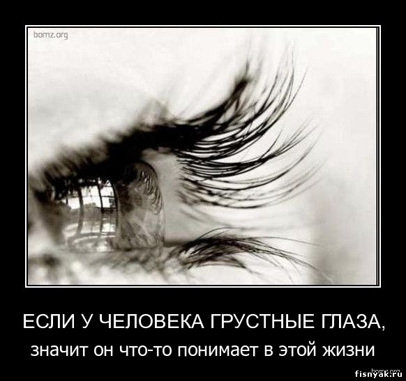 http://fisnyak.ru/post2/post8/797973-2010.06.09-01.19.39-la.jpg