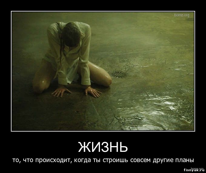 http://fisnyak.ru/post2/post8/954262-2010.06.08-05.12.44-animal.jpg
